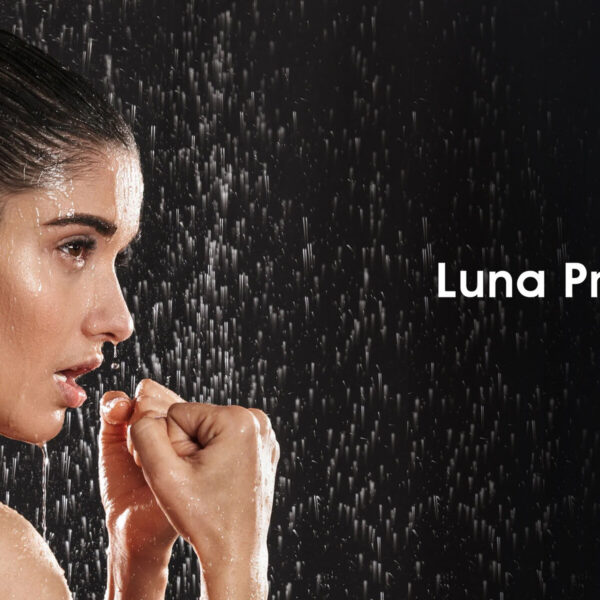 ZIPFORCE Luna Pro+